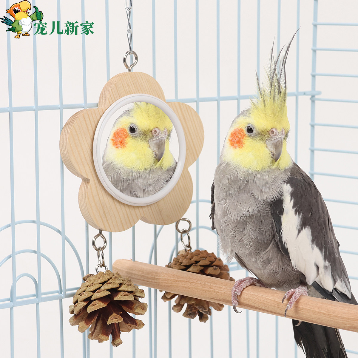 鹦鹉自嗨玩具镜子专用解闷解压藤球松果小鸟玩具用品秋千逗鸟装饰,宠物/宠物食品及用品,鸟玩具,淘宝优惠券,粉丝福利购,淘宝优惠卷