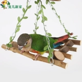 Дорогая новый дом кокосовый и птичий гнездо гнездосец