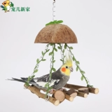 Дорогая новый дом кокосовый и птичий гнездо гнездосец