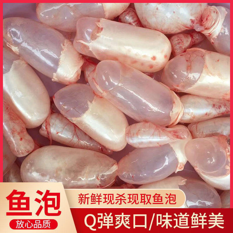 鱼泡新鲜鱼籽草鱼鲢子鱼杂鱼宝鱼蛋鱼漂鱼鳔鱼肚鱼胶花胶鱼白现杀