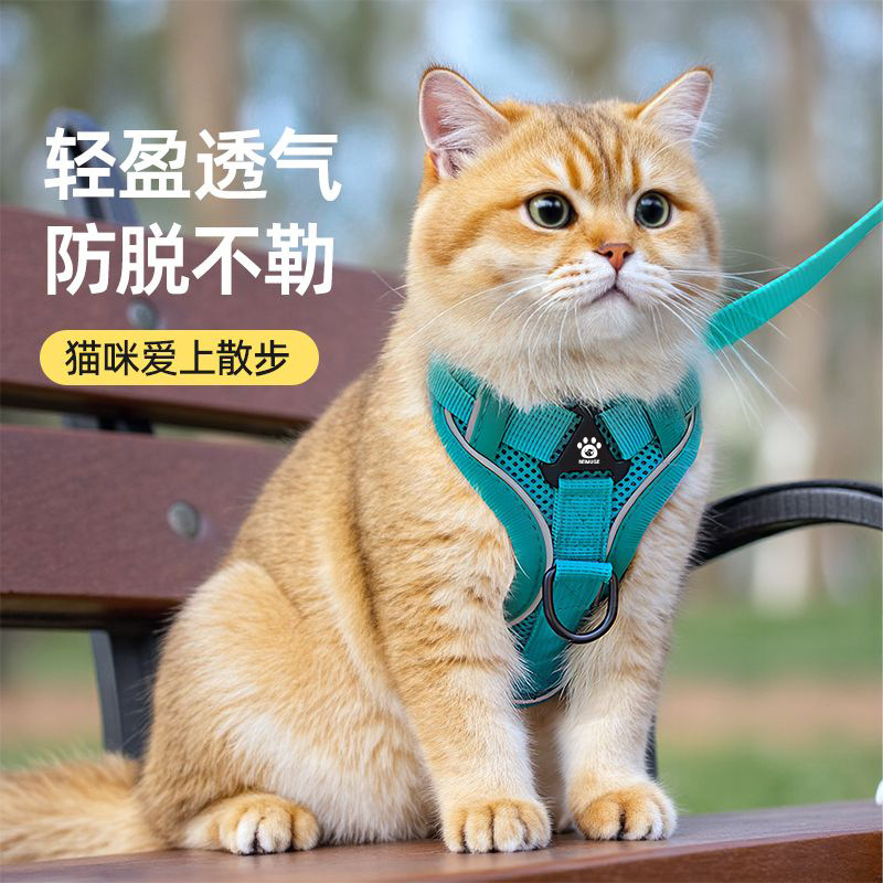 猫咪外出防挣脱牵引绳不勒脖猫绳