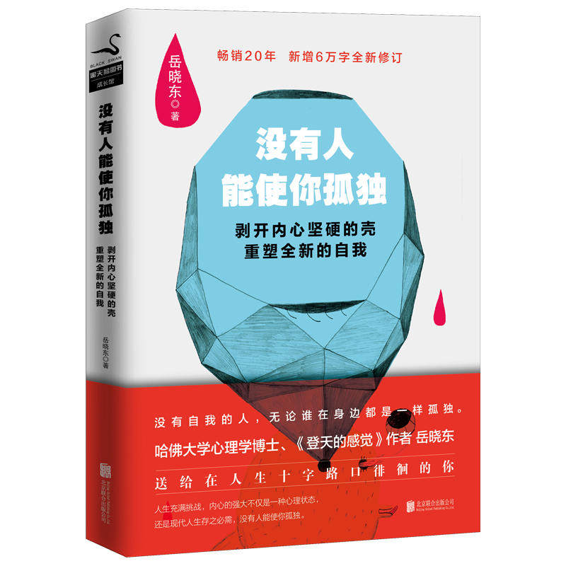 没有人能使你孤独 岳晓东哈佛大学心理学博士自我认知指南拥有孤独力
