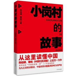 小岗村的故事 陈桂棣著 真实记录中国改革村的30年沧桑变迁小岗村40年从小岗村到地球村中国在梁庄书籍
