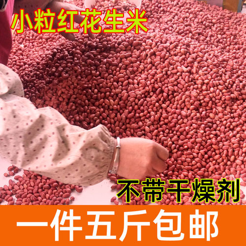 红衣花生米2025小粒四粒红花生米