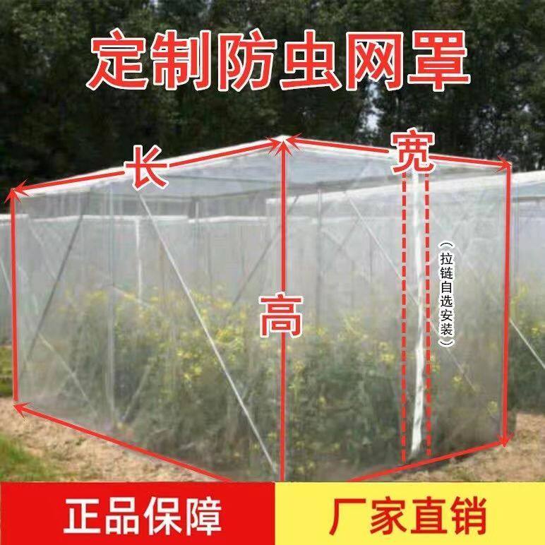 防虫网罩纱网樱桃杨梅蓝莓莲雾果树防鸟防蚊蝇防污染网套透气透光