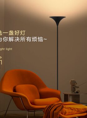 卧室床头婴儿房护眼暖光落地灯
