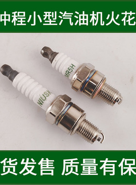 A5RTCM5H小型四冲程汽油机火花塞割草机水泵微耕机地钻船外机配件