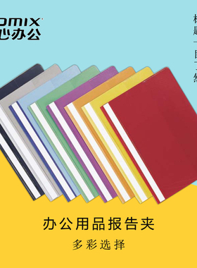 齐心LW320办公用品报告夹2孔装订式A4文件夹装100张资料夹收纳夹