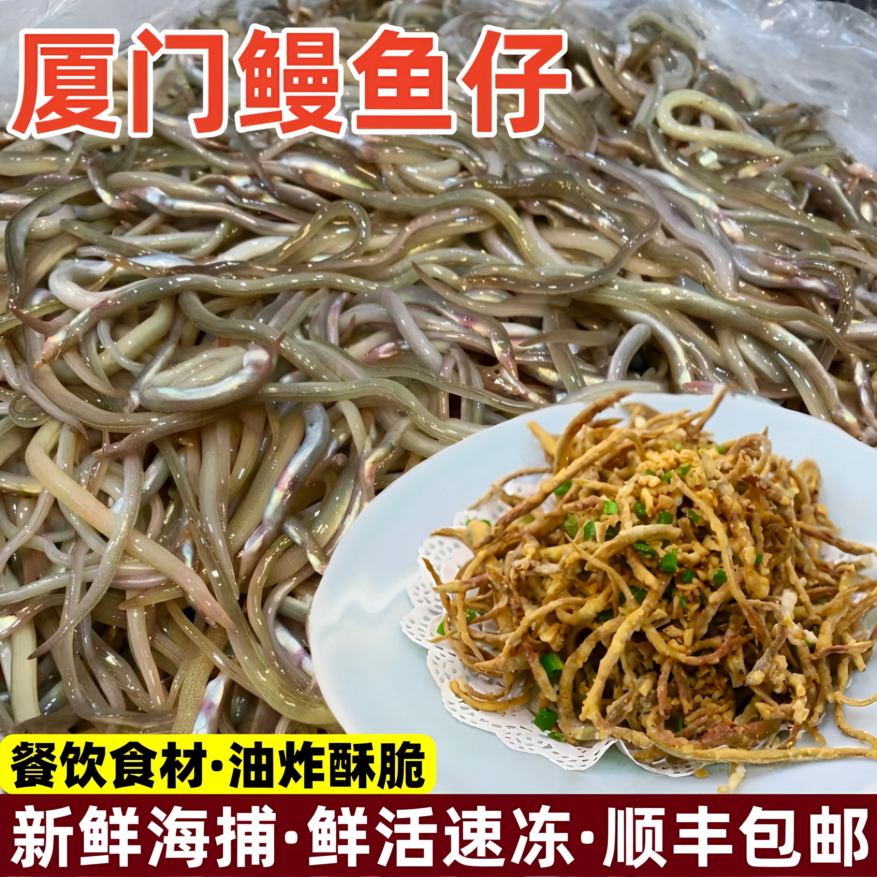 新鲜鳗鱼苗油炸鳗鱼苗椒盐鳗鱼仔厦门鳗鱼丝油筷鱼小沙鳗海鲜水产