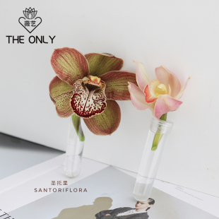 鲜花营养管 储水养花管 花店专业花束保鲜管 洋兰管 薇艺蓄水试管