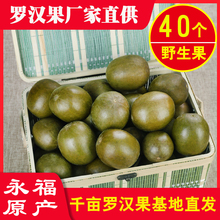 罗汉果冻干广西桂林永福特产干果大果菊花枸杞泡茶低温脱水黄金果
