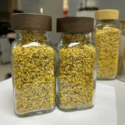 臻麟冷冻桂花干花桂林特产级食用糕点心泡茶冻干不熏硫浓香金桂花