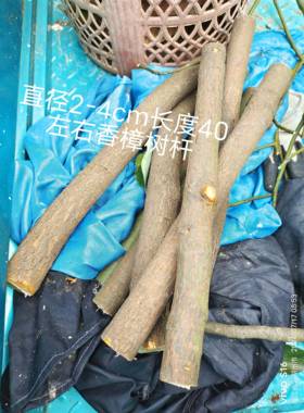 直径2-4cm长度40左右   香樟树杆  香樟树枝  10块钱1根