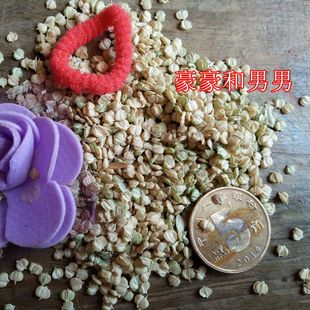 稗草籽稗草种子芬芳植物种子填充枕芯败草籽填充枕头败草种子2025