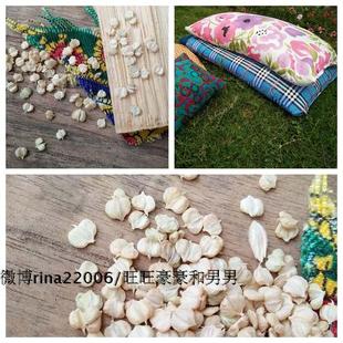 稗草籽免费做布枕头布 败草籽传统枕芯缓解颈椎压力2025新鲜上市