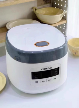 HYUNDAI QC-FB02253L低升糖米饭电饭煲米汤分离养生电饭锅