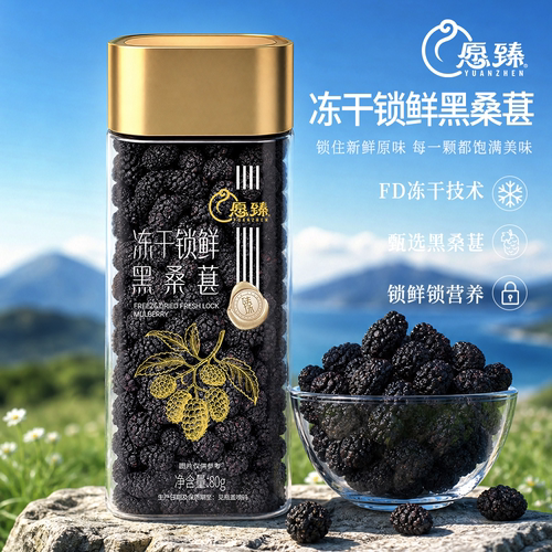 愿臻 冻干锁鲜桑葚80g/罐 新疆原产