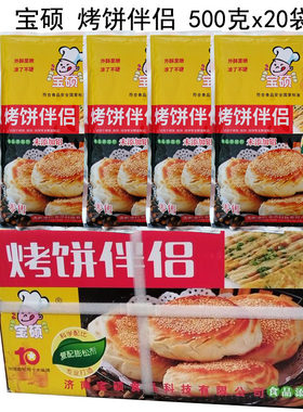 宝硕 烤饼伴侣 膨松剂 烧饼 烙饼 改良剂泡打粉 整箱装500g*20袋