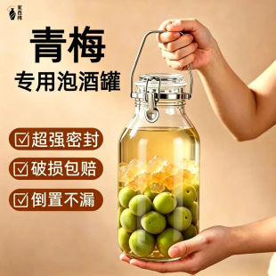 青梅酒瓶泡酒专用玻璃容器家用密封存酒高端空瓶食品级酒坛储酒罐