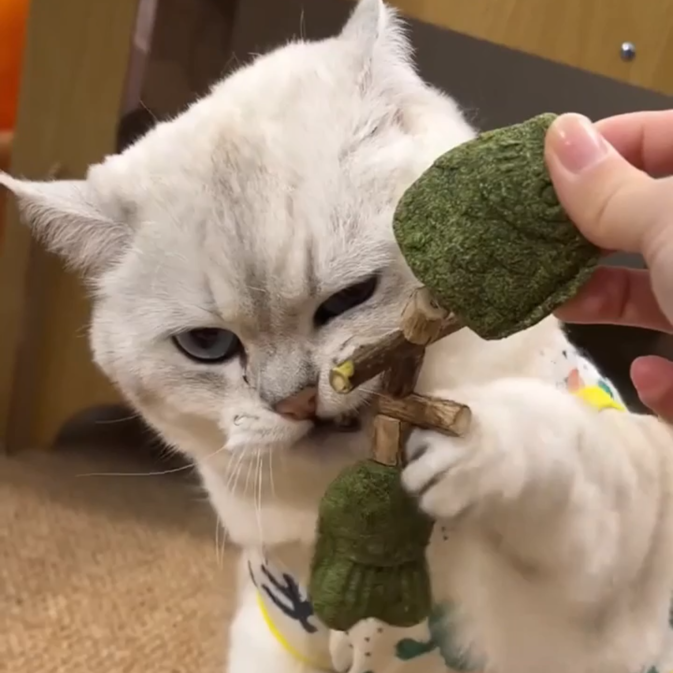 猫咪磨牙棒猫薄荷鱼形木天蓼耐咬玩具仿真鱼骨自嗨解闷逗猫磨牙