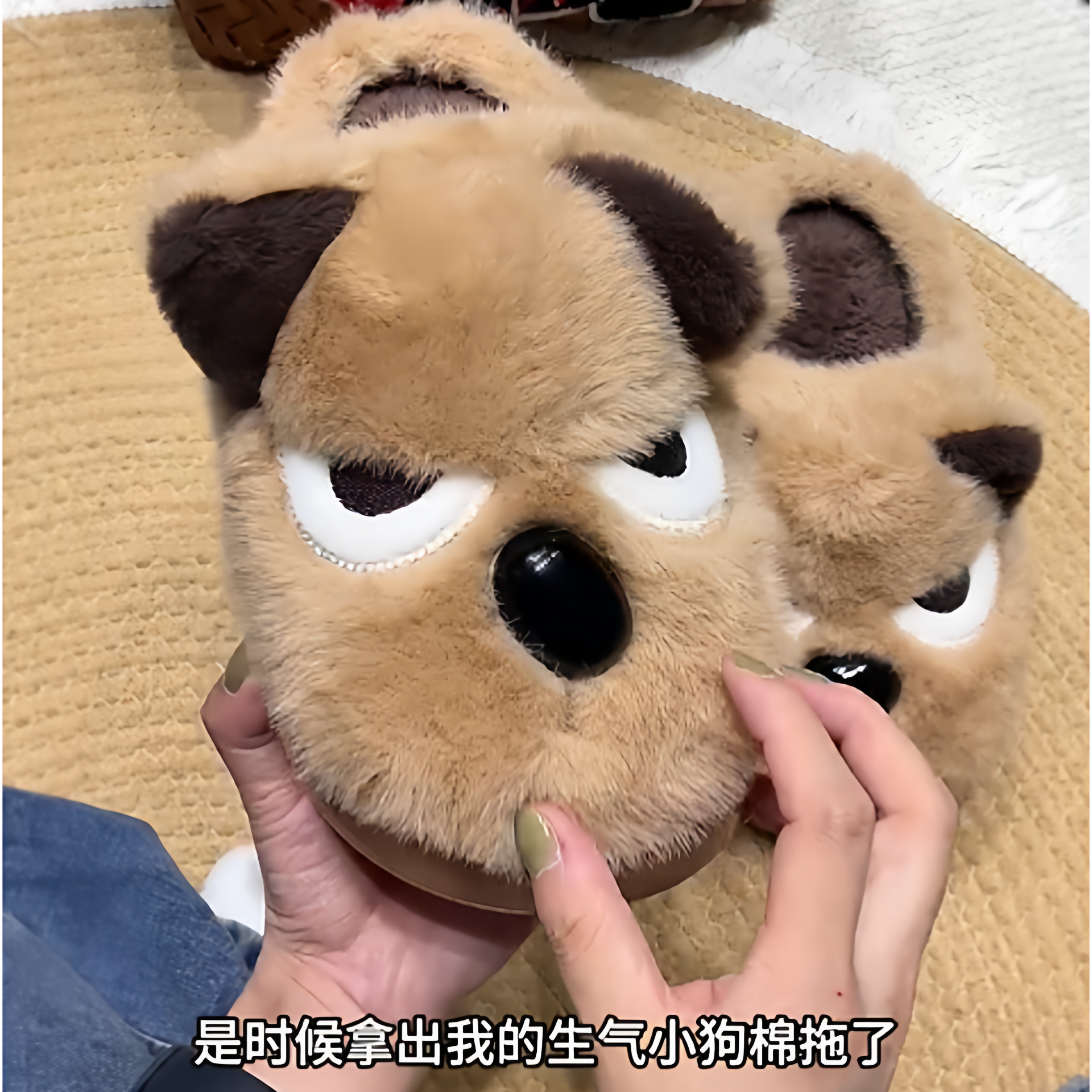 棉拖鞋女款2025新款爆款包后跟卡通狗狗冬季情侣居家厚底保暖防滑