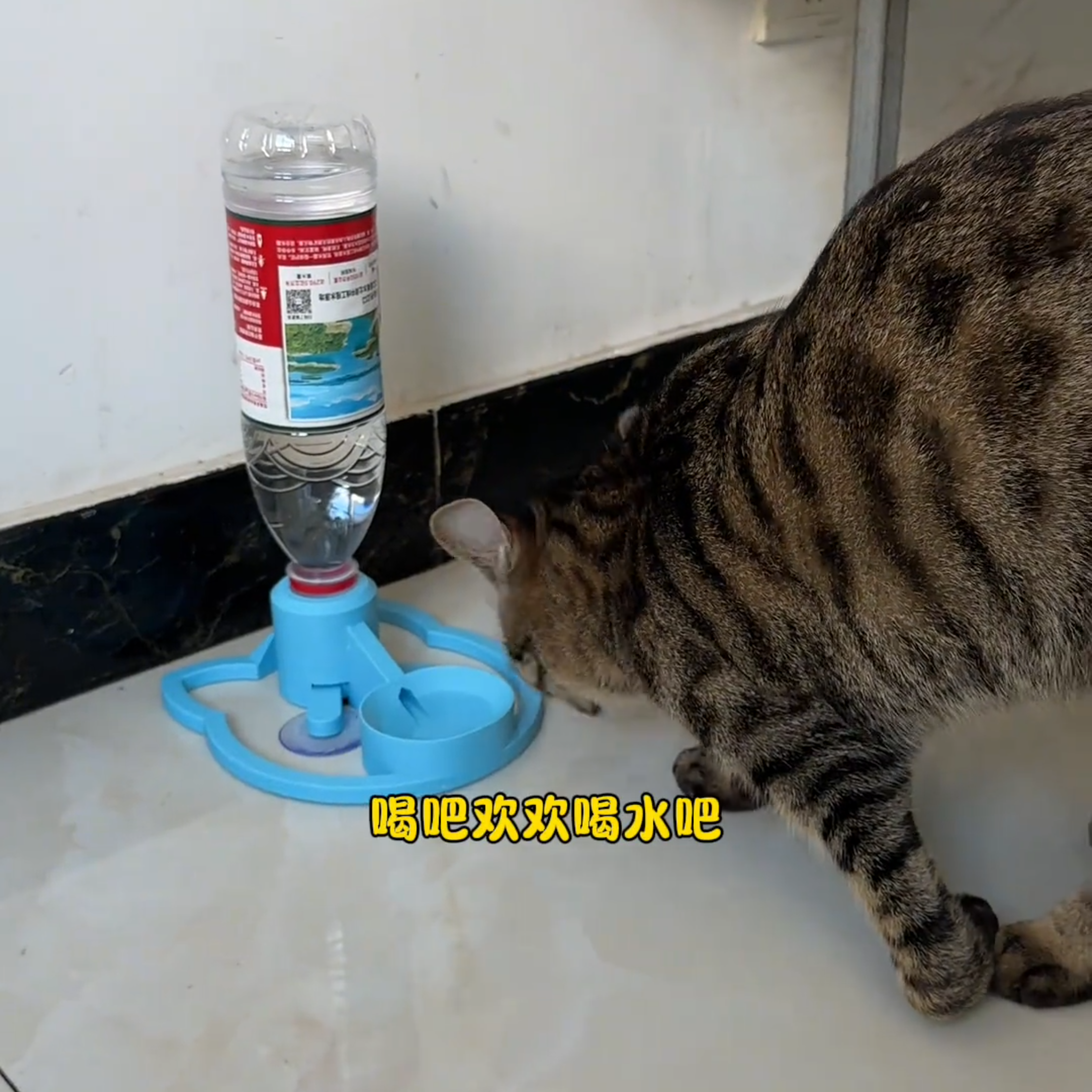 猫咪自动饮水机推荐酸奶机流动喝水不插电宠物狗狗自动喂食器猫食