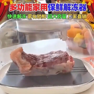 大号解冻器商用新款厨房家用快速肉类牛排食物保鲜化冰解冻盘