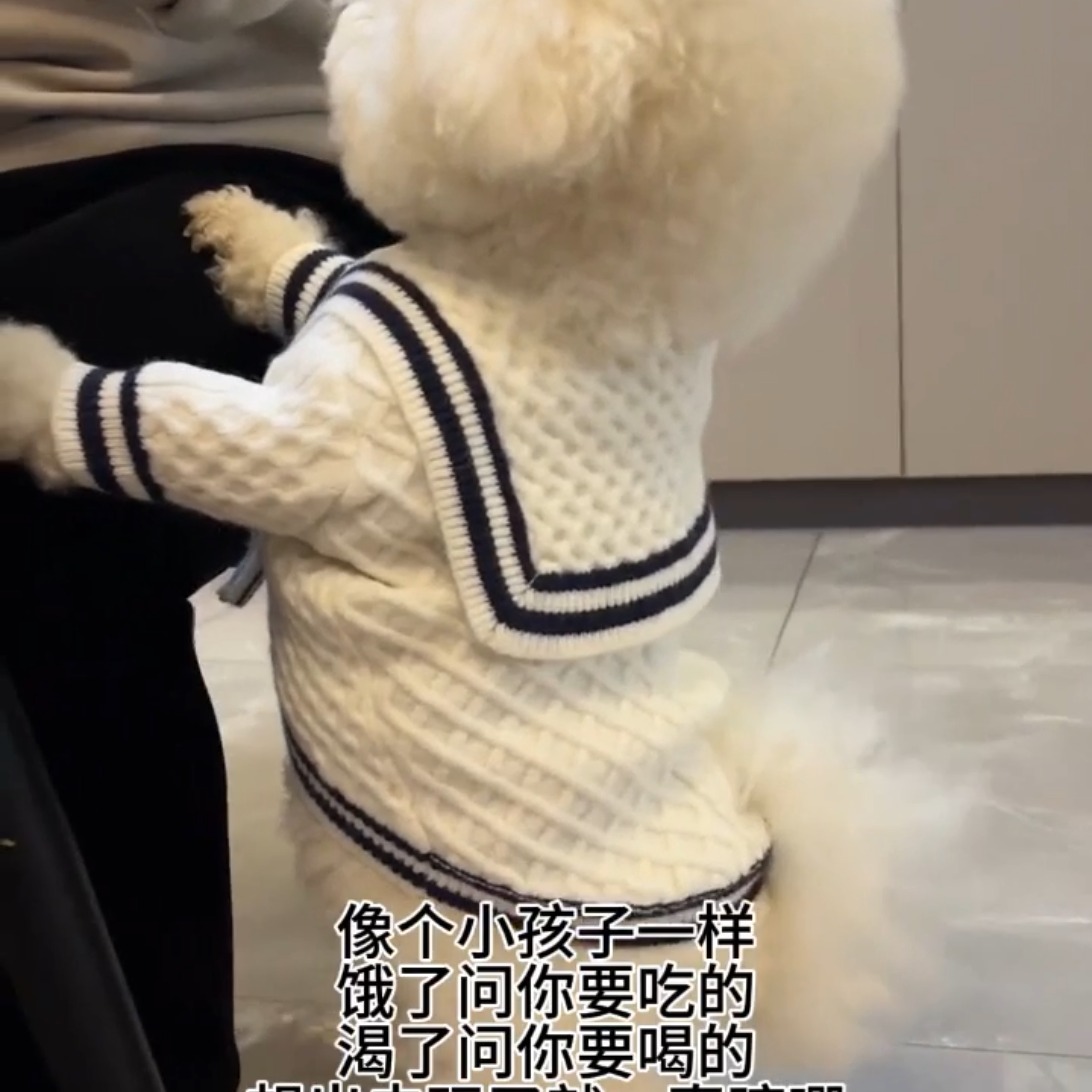 狗狗秋冬针织衣服比熊泰迪小型犬海军领外套雪纳瑞猫咪保暖宠物装