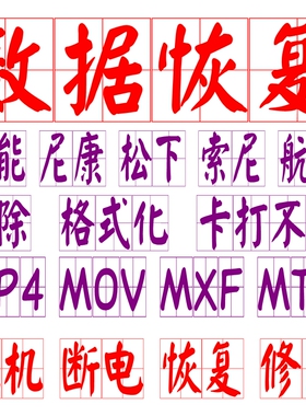 MP4 MOV MXF MTS视频恢复JPG CR2 DAT修复 SD卡CF卡照片数据恢复