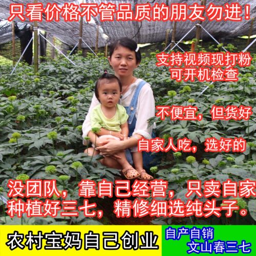 云南文山农家特级20头30头三七头