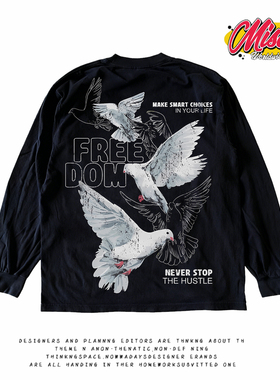 y2k hoodie~美式嘻哈风长袖黑色T恤男鸽子印花oversize潮流上衣