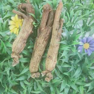 高丽参无糖原支红参光支250克每份别直参新品年货长白山抚松参农