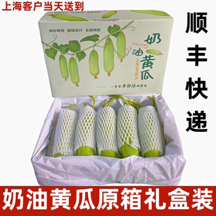 正宗奶油黄瓜无刺水果黄瓜现摘新鲜蔬菜水果现发整箱顺丰包邮