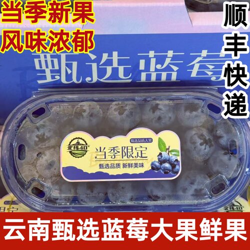 云南甄选蓝莓鲜果超大蓝莓当季新鲜水果清甜多汁果径22mm+顺丰