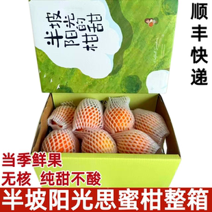 半坡阳光思蜜柑甜新鲜高山沃柑橘子无核爆汁当季新鲜水果顺丰