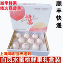 白凤水蜜桃当季 顺丰快递 新鲜现摘水果毛桃子甜桃礼盒装 4斤装