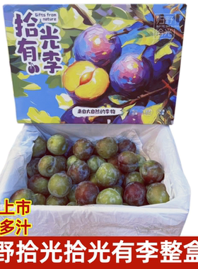 李子紫李子四川脆甜好吃