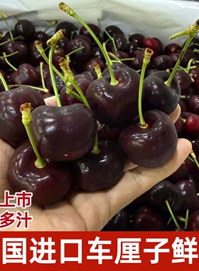 樱桃新鲜车厘子美味多汁