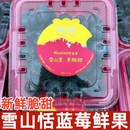 云南玉龙雪山稼沃雪山恬蓝莓当季 盒顺丰 新鲜脆甜蓝莓鲜果125g