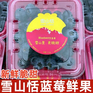 云南玉龙雪山稼沃雪山恬蓝莓当季新鲜脆甜蓝莓鲜果125g/盒顺丰