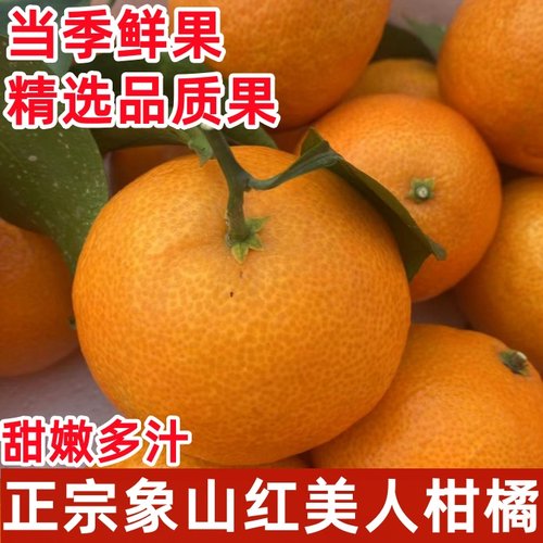 象山红美人柑橘果冻橙子新鲜当季时令水果柑橘蜜桔手剥甜柑橘4斤