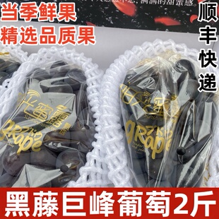 阳光蜜露巨峰葡萄原箱礼盒黑峰葡萄新鲜水果黑葡萄提子4斤顺丰