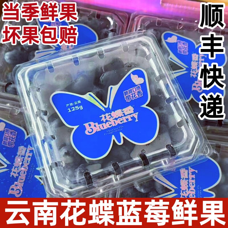 花碟香云南蓝莓清甜多汁新鲜蓝莓L25花香蓝莓鲜果125g/盒顺丰快递