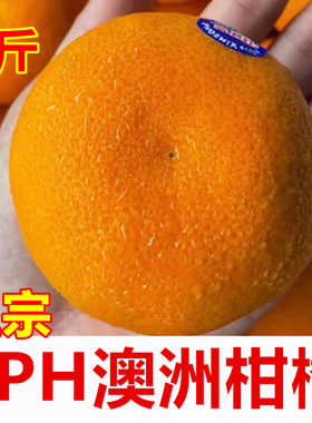 2PH0-82斤澳大利亚甜蜜