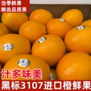 澳洲进口黑标3107脐橙当季 时令新鲜水果多汁橙子大果顺丰快递发货