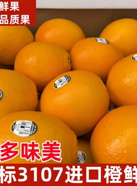黑标3107脐橙当季时令新鲜水果多汁橙子大果顺丰快递发货