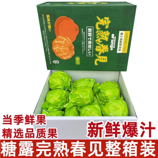 糖露完熟春见粑粑柑原箱礼盒8斤当季新鲜水果丑八怪橘子甜嫩多汁