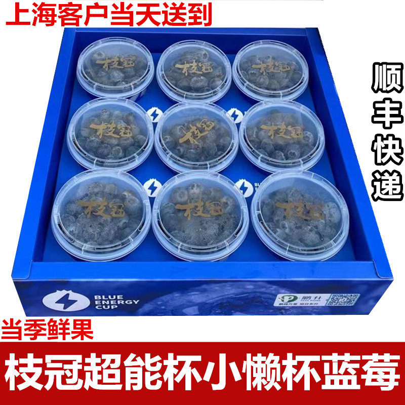 云南枝冠蓝莓l25花香蓝莓鲜果小懒杯超能杯新鲜水果礼盒装顺丰