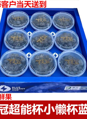云南枝冠蓝莓l25花香蓝莓鲜果小懒杯超能杯新鲜水果礼盒装顺丰