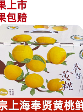 奉贤黄桃桃子黄桃10斤上海